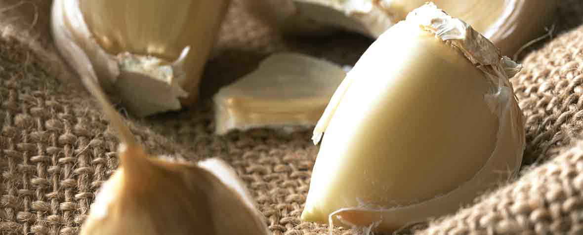 備前化成株式会社の牡蠣抽出乾燥粉末|カキエキスパウダー【健康食品原料検索サイトバルバル(BALBAL)】