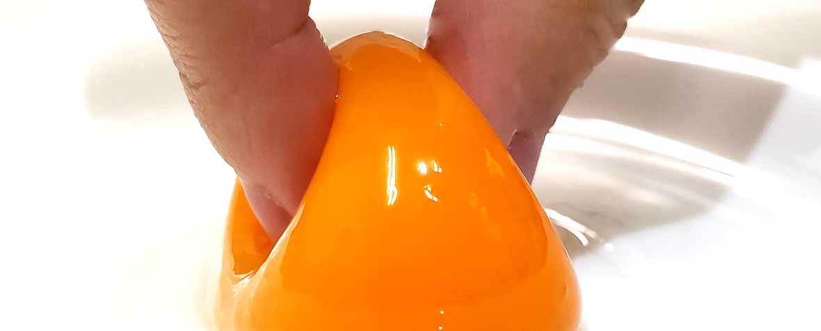 日新蜂蜜株式会社の原料卵黄末、商品名有精卵卵黄末