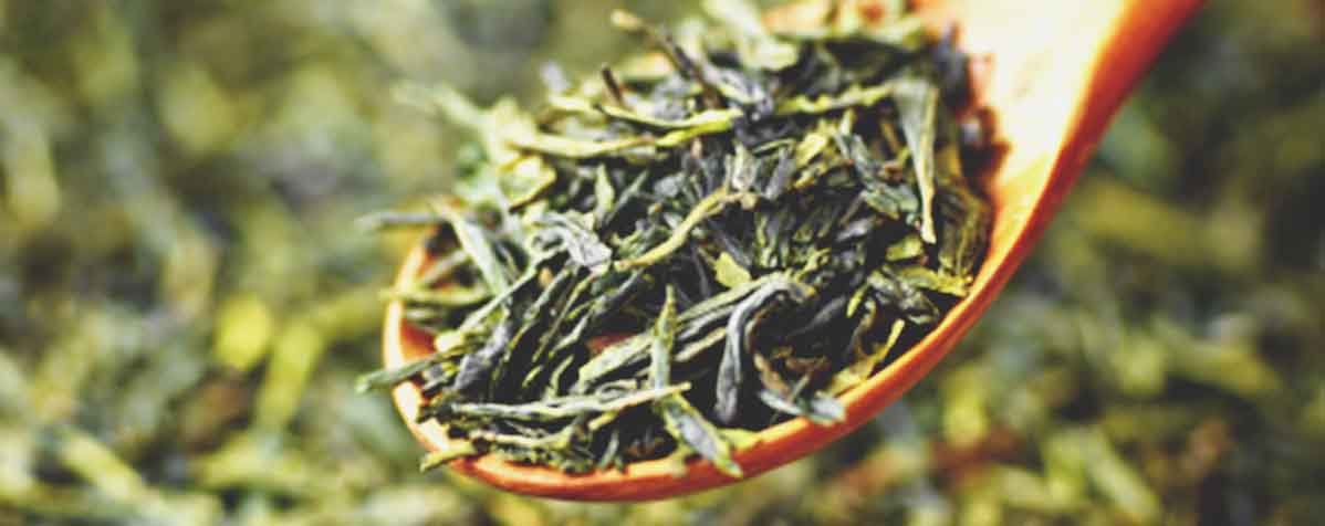 恵遠ジャパン株式会社の原料緑茶エキス