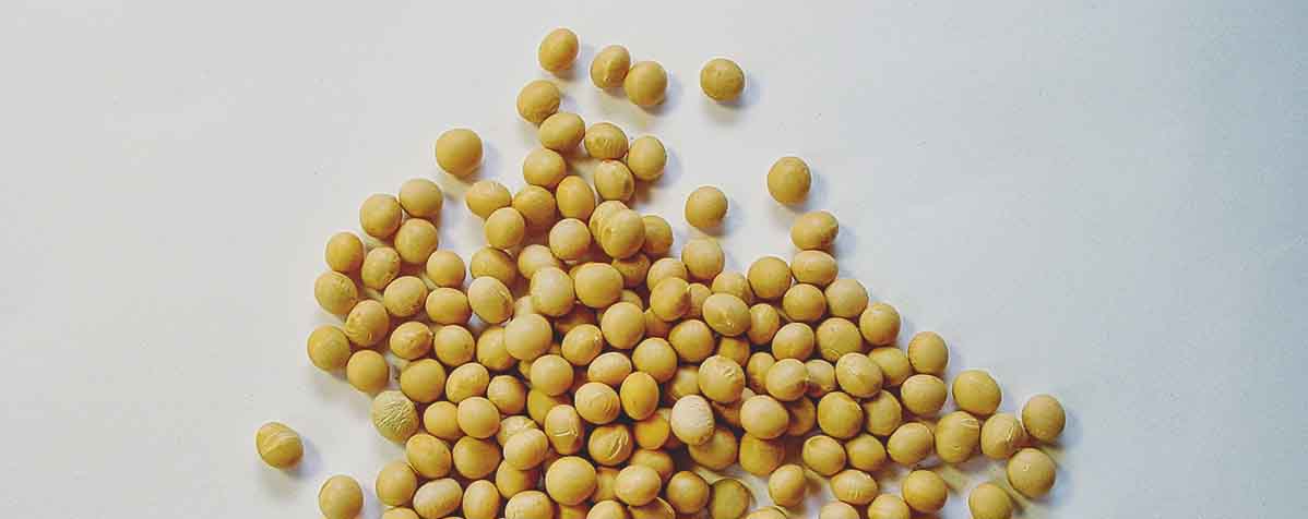 恵遠ジャパン株式会社の原料大豆抽出物、商品名大豆イソフラボン