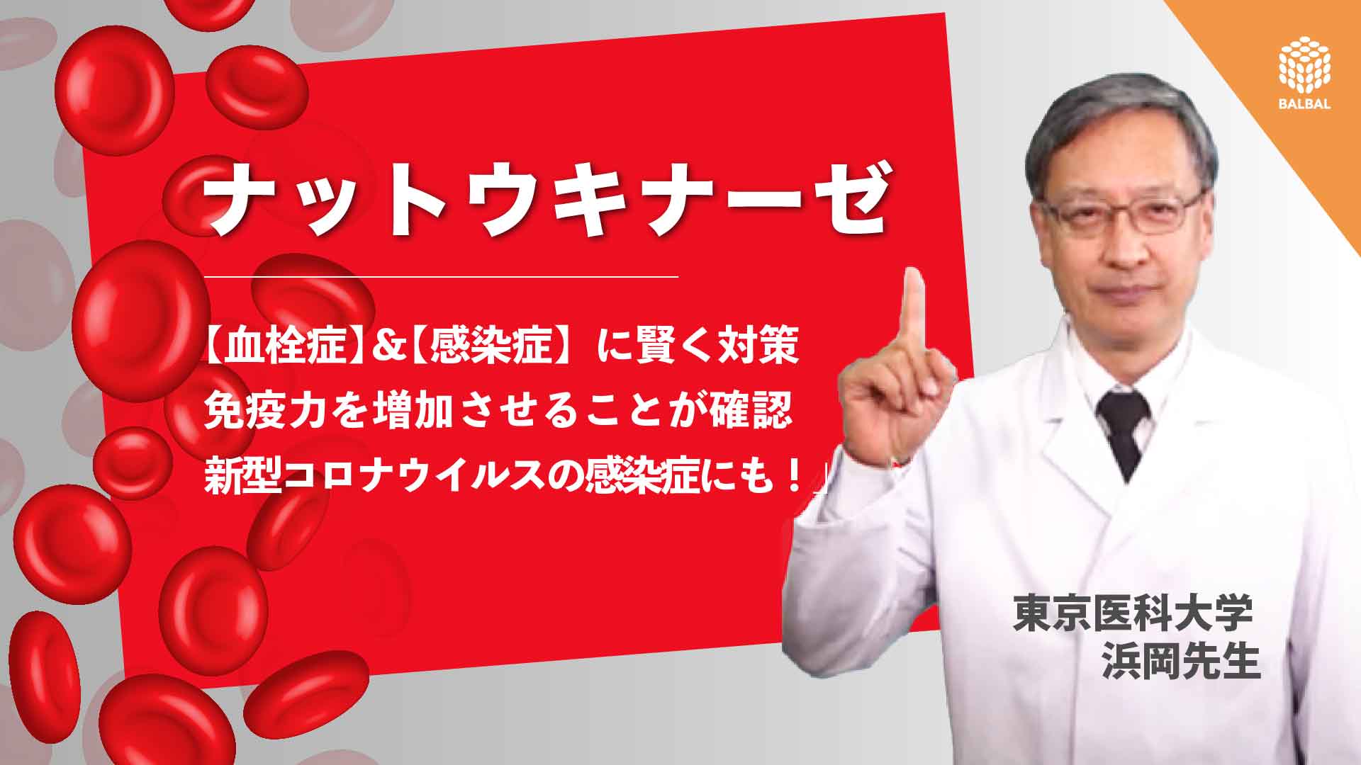 株式会社日本生物.科学研究所の納豆菌培養エキスNSK-SD【健康食品原料検索サイトバルバル(BALBAL)】