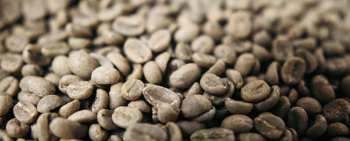 株式会社公知貿易の原料生コーヒー豆抽出物、グリーンコーヒー豆エキス、商品名グリーンコーヒー豆エキス末60％