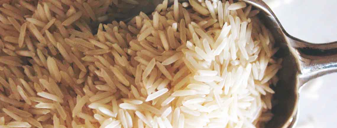 大象ジャパン株式会社の原料ライスGABA抽出粉末、商品名Rice GABA 30