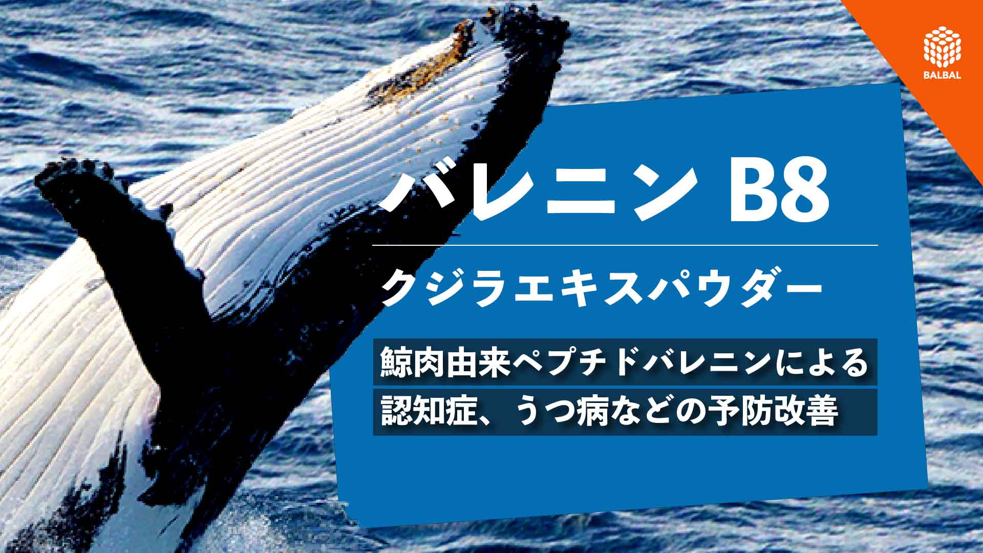 共同船舶株式会社の鯨肉粉末|クジラの王様パウダー【健康食品原料検索サイトバルバル(BALBAL)】