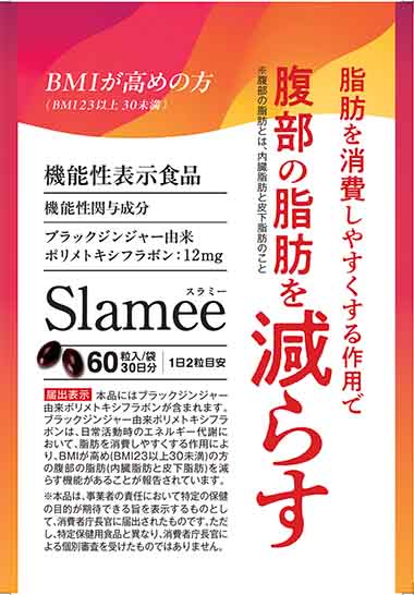 Slamee v2(スラミー ブイツー)