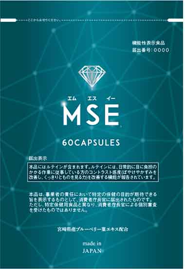 MSE(エムエスイー)