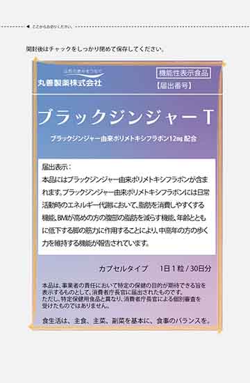 ブラックジンジャーT
