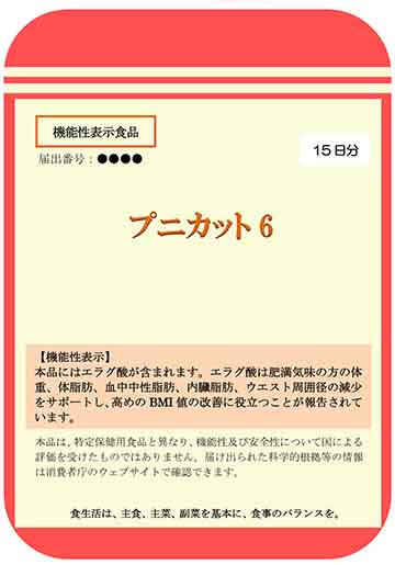 プニカット6
