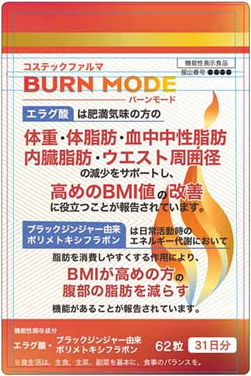 BURN MODE(バーンモード)