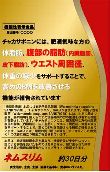 ネムスリム