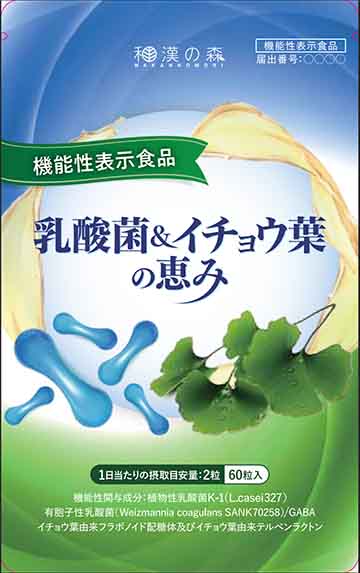 乳酸菌&イチョウ葉の恵みa